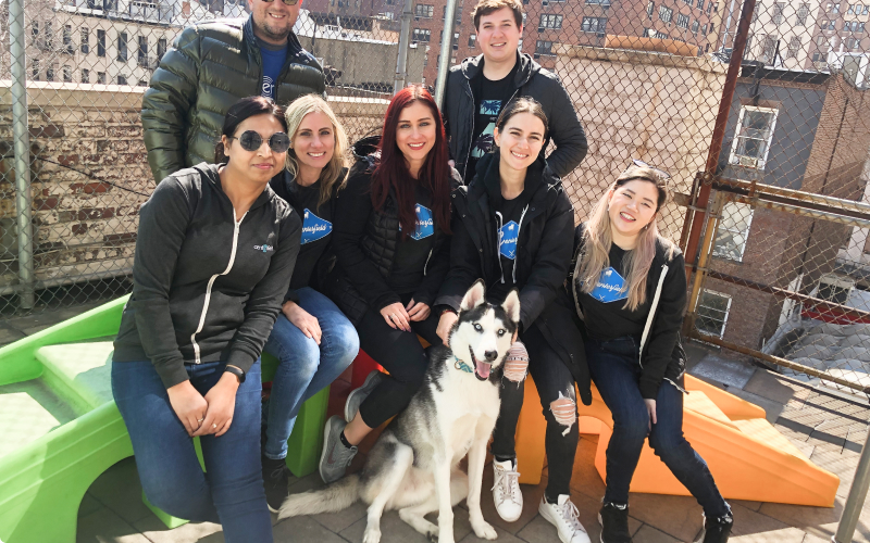 New York Team