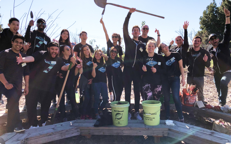 Team Volunteering at Garden